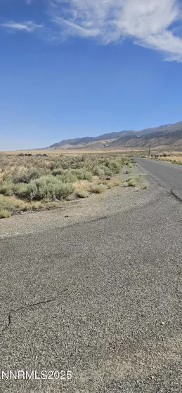 22505 Woods, Lovelock, Nevada 89419, ,Land,Residential,Woods,250055774