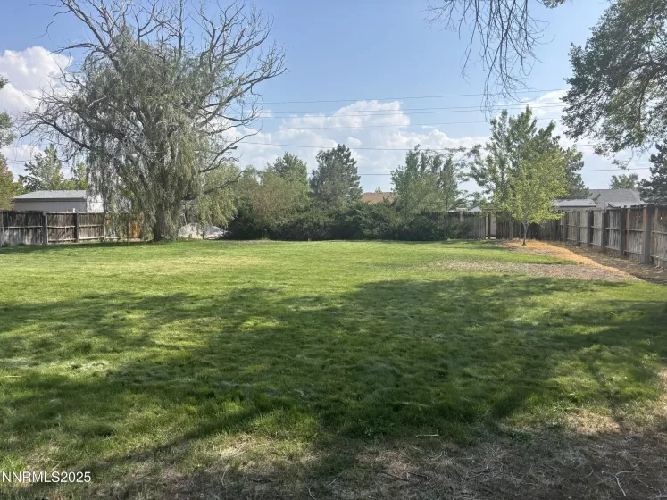 1459 Langley, Gardnerville, Nevada 89460, 4 Bedrooms Bedrooms, ,2 BathroomsBathrooms,Residential,Residential,Langley,250055790