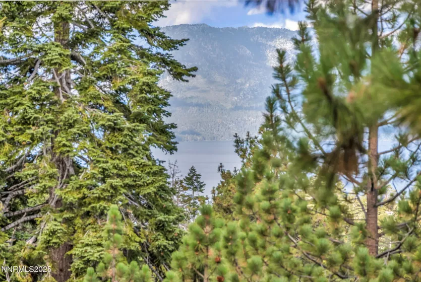 782 Bigler, Stateline, Nevada 89449, 2 Bedrooms Bedrooms, ,2 BathroomsBathrooms,Residential,Residential,Bigler,250055815
