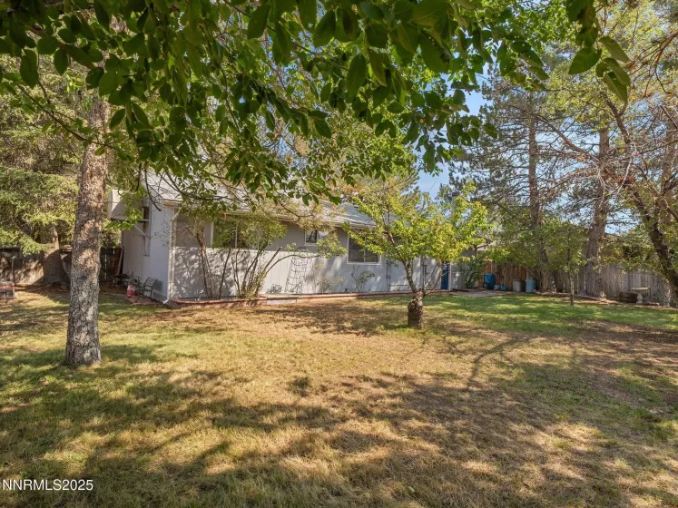 1968 Marian, Carson City, Nevada 89706, 3 Bedrooms Bedrooms, ,2 BathroomsBathrooms,Residential,Residential,Marian,250055842