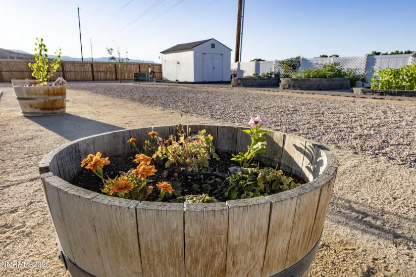 529 Saddle Horn Way, Fernley, Nevada 89408, 4 Bedrooms Bedrooms, ,2 BathroomsBathrooms,Residential,Residential,Saddle Horn Way,250055845