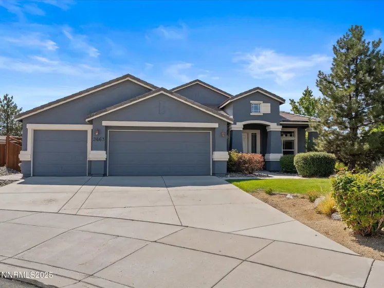 3663 Copernicus, Sparks, Nevada 89436, 4 Bedrooms Bedrooms, ,2 BathroomsBathrooms,Residential,Residential,Copernicus,250055869