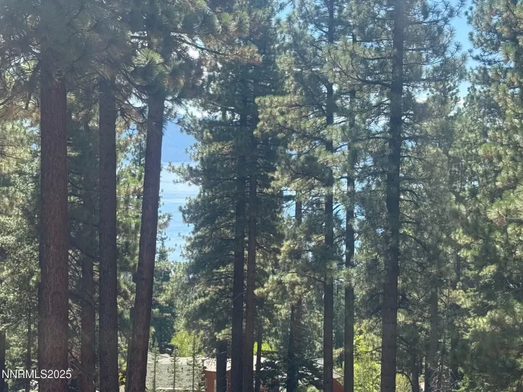 577 Fallen Leaf, Incline Village, Nevada 89451, 3 Bedrooms Bedrooms, ,2 BathroomsBathrooms,Residential,Residential,Fallen Leaf,250055876