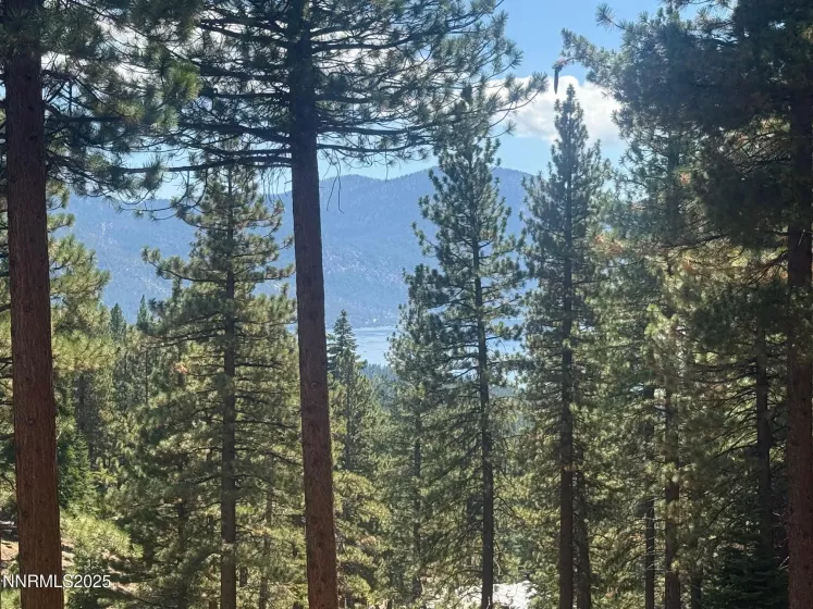 577 Fallen Leaf, Incline Village, Nevada 89451, 3 Bedrooms Bedrooms, ,2 BathroomsBathrooms,Residential,Residential,Fallen Leaf,250055876