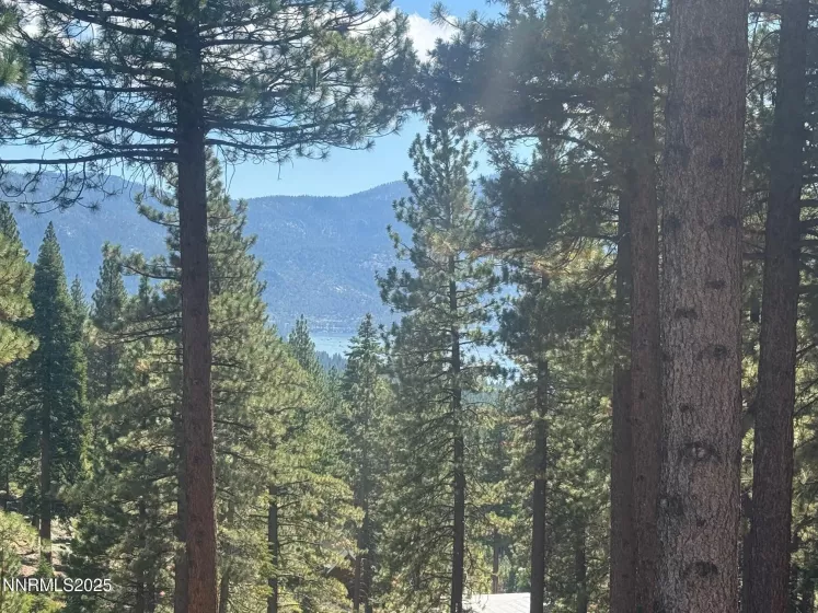 577 Fallen Leaf, Incline Village, Nevada 89451, 3 Bedrooms Bedrooms, ,2 BathroomsBathrooms,Residential,Residential,Fallen Leaf,250055876