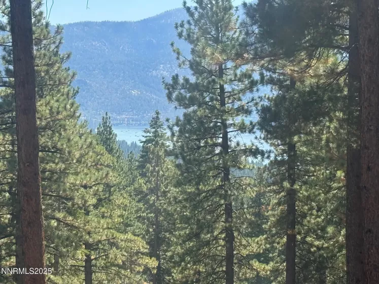 577 Fallen Leaf, Incline Village, Nevada 89451, 3 Bedrooms Bedrooms, ,2 BathroomsBathrooms,Residential,Residential,Fallen Leaf,250055876