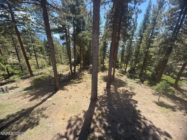 577 Fallen Leaf, Incline Village, Nevada 89451, 3 Bedrooms Bedrooms, ,2 BathroomsBathrooms,Residential,Residential,Fallen Leaf,250055876