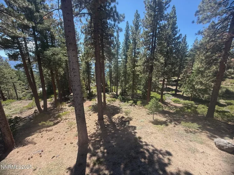 577 Fallen Leaf, Incline Village, Nevada 89451, 3 Bedrooms Bedrooms, ,2 BathroomsBathrooms,Residential,Residential,Fallen Leaf,250055876