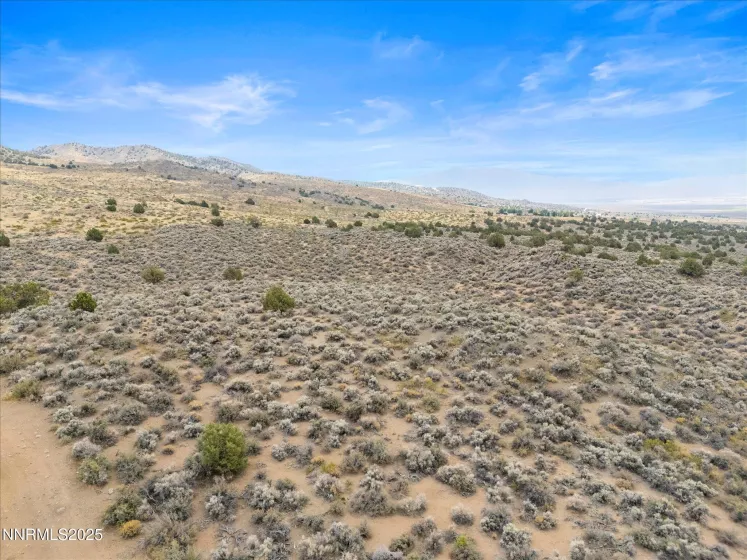 1325 Antelope Valley, Reno, Nevada 89506, ,Land,Residential,Antelope Valley,250055881
