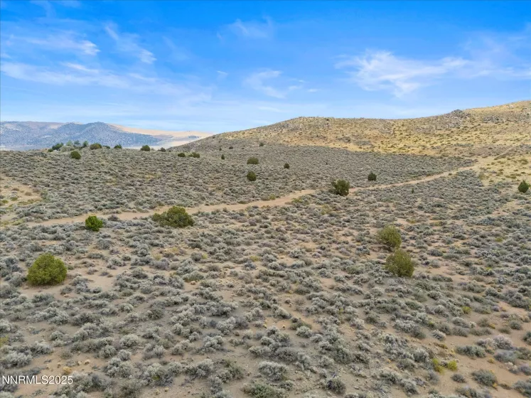 1325 Antelope Valley, Reno, Nevada 89506, ,Land,Residential,Antelope Valley,250055881