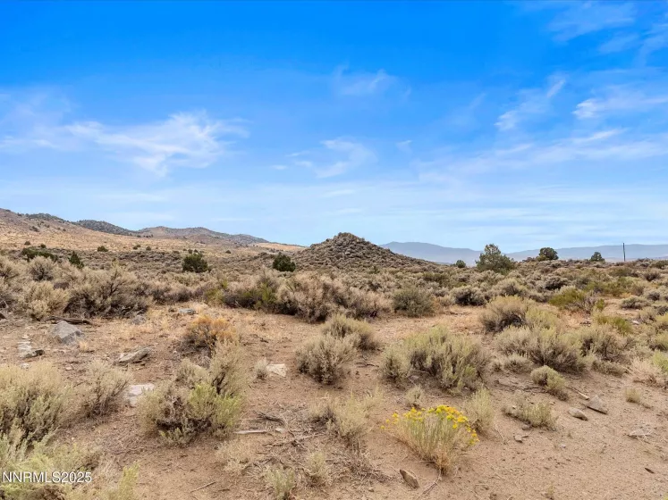 1325 Antelope Valley, Reno, Nevada 89506, ,Land,Residential,Antelope Valley,250055881