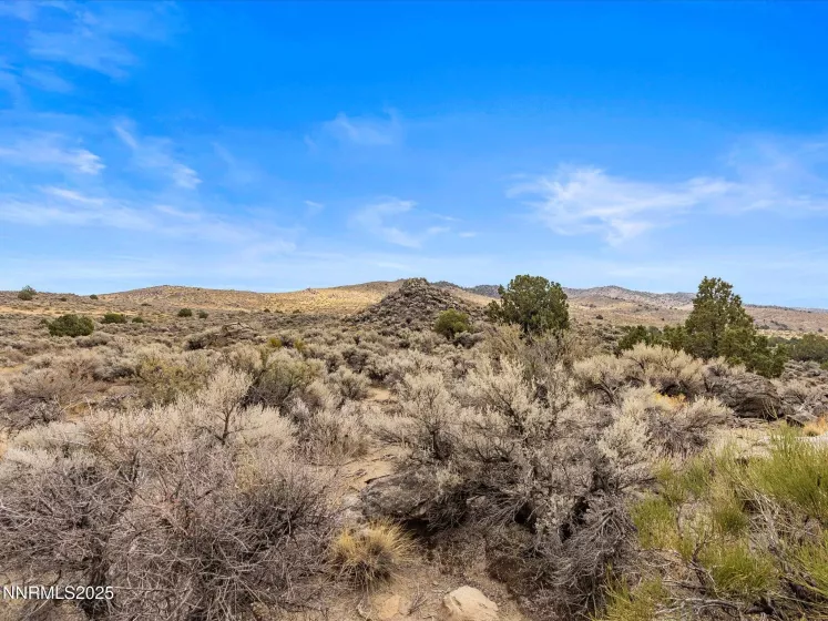 1325 Antelope Valley, Reno, Nevada 89506, ,Land,Residential,Antelope Valley,250055881