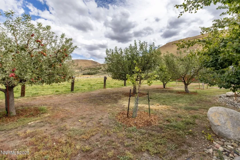 400 Dori Bell, Verdi, Nevada 89439, 4 Bedrooms Bedrooms, ,3 BathroomsBathrooms,Residential,Residential,Dori Bell,250055912