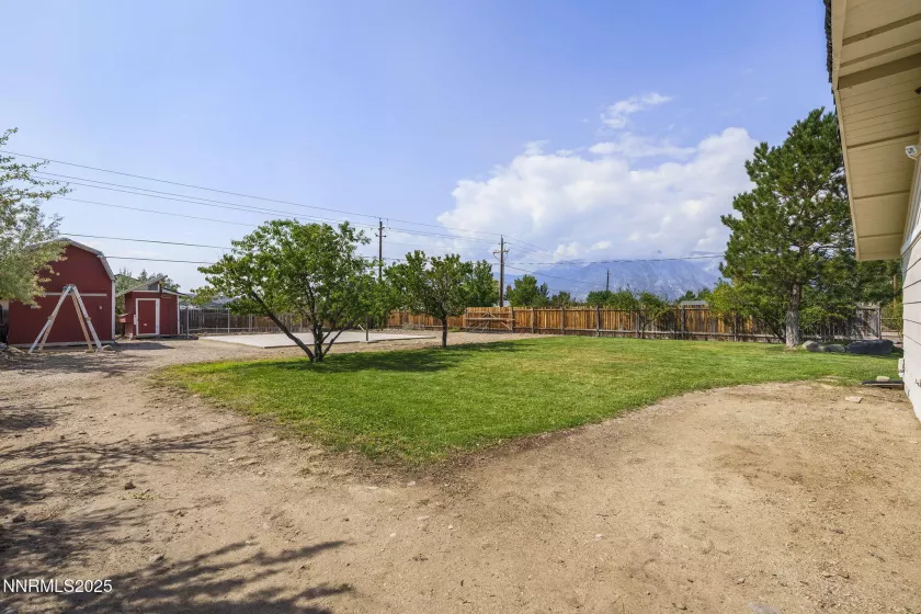 Back Yard