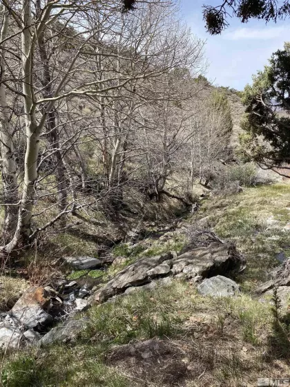 0 Pah Rah Springs, Reno, Nevada 89510, ,Land,Residential,Pah Rah Springs,240007324