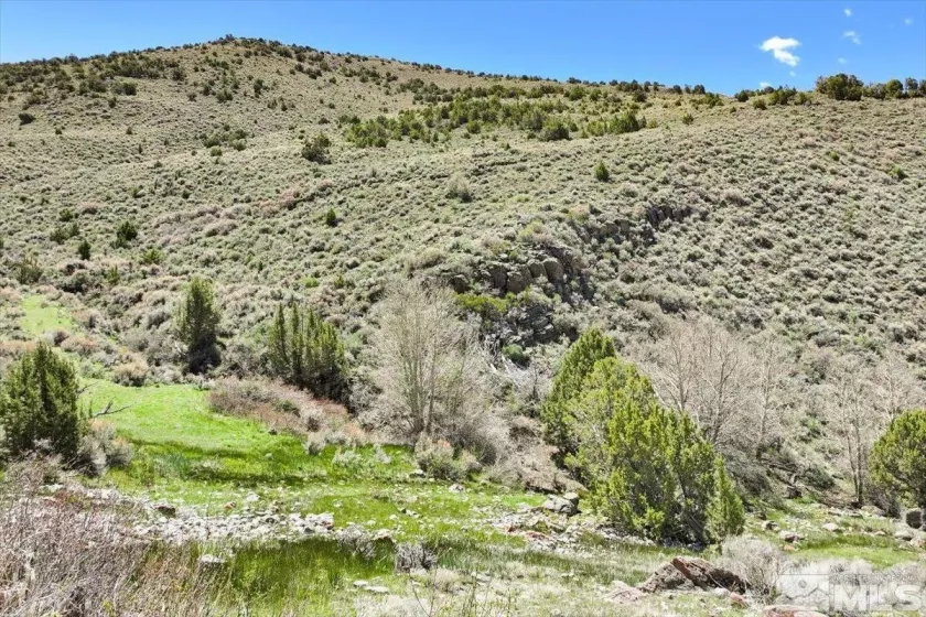 0 Pah Rah Springs, Reno, Nevada 89510, ,Land,Residential,Pah Rah Springs,240007324