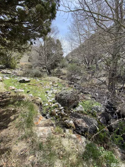 0 Pah Rah Springs, Reno, Nevada 89510, ,Land,Residential,Pah Rah Springs,240007324