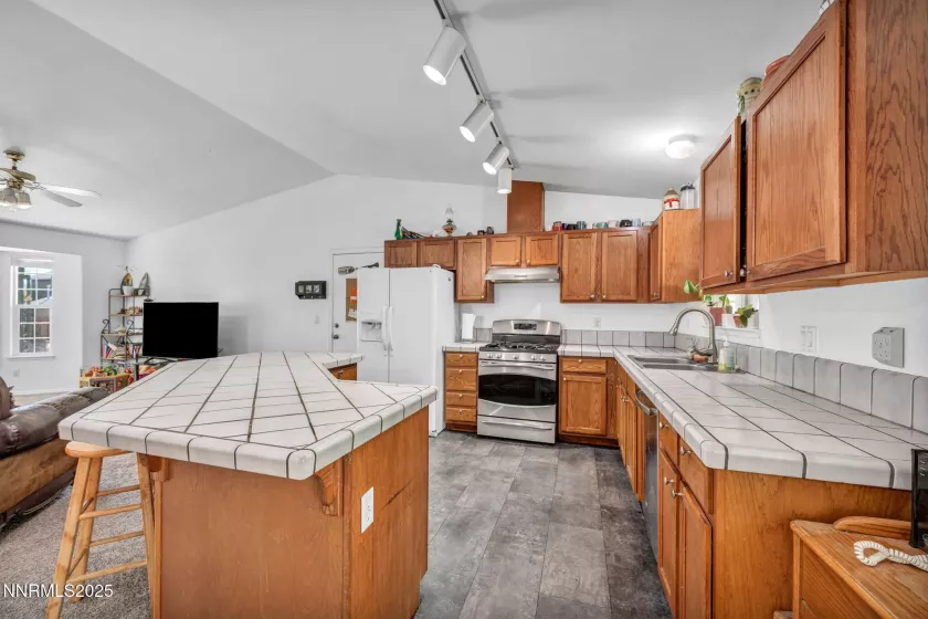 1037 Turtledove, Sparks, Nevada 89441, 3 Bedrooms Bedrooms, ,2 BathroomsBathrooms,Residential,Residential,Turtledove,250055985