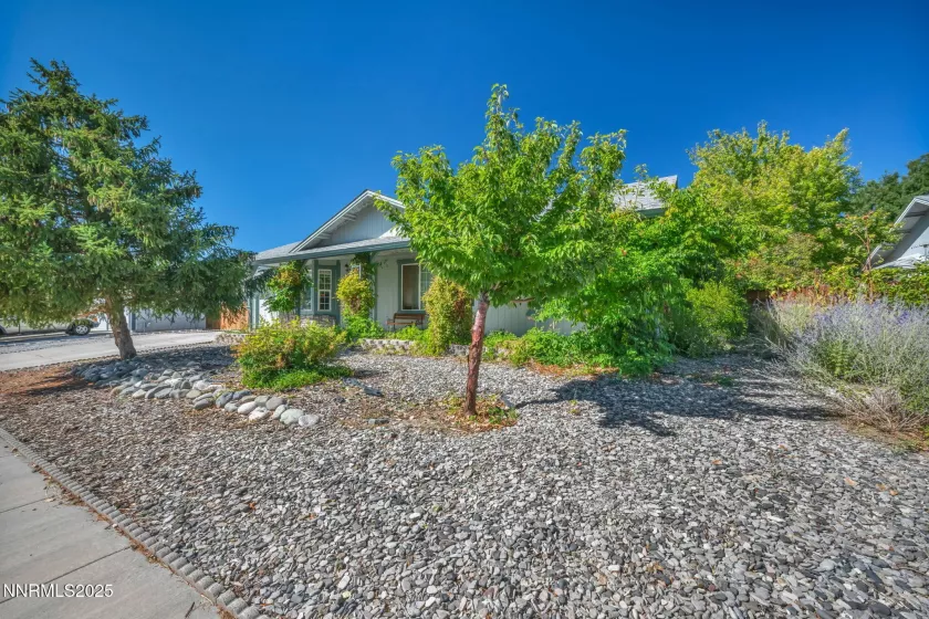 1037 Turtledove, Sparks, Nevada 89441, 3 Bedrooms Bedrooms, ,2 BathroomsBathrooms,Residential,Residential,Turtledove,250055985