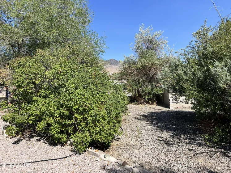 118 Tom Sawyer, Dayton, Nevada 89403, 2 Bedrooms Bedrooms, ,2 BathroomsBathrooms,Residential,Residential,Tom Sawyer,250055988