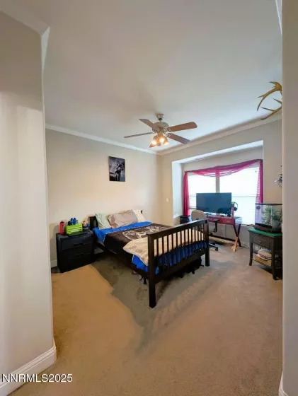 4349 Stampede, Carson City, Nevada 89701, 3 Bedrooms Bedrooms, ,3 BathroomsBathrooms,Residential,Residential,Stampede,250055992
