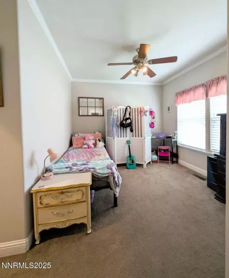 4349 Stampede, Carson City, Nevada 89701, 3 Bedrooms Bedrooms, ,3 BathroomsBathrooms,Residential,Residential,Stampede,250055992