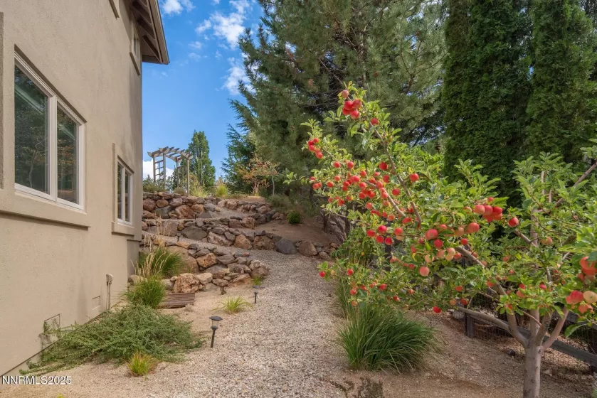 4905 Mountainshyre, Reno, Nevada 89519, 5 Bedrooms Bedrooms, ,4 BathroomsBathrooms,Residential,Residential,Mountainshyre,250056017