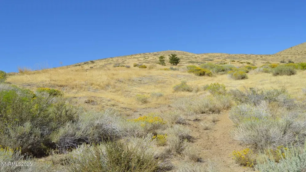 8455 Chalk Ridge, Reno, Nevada 89523, ,Land,Residential,Chalk Ridge,250056038