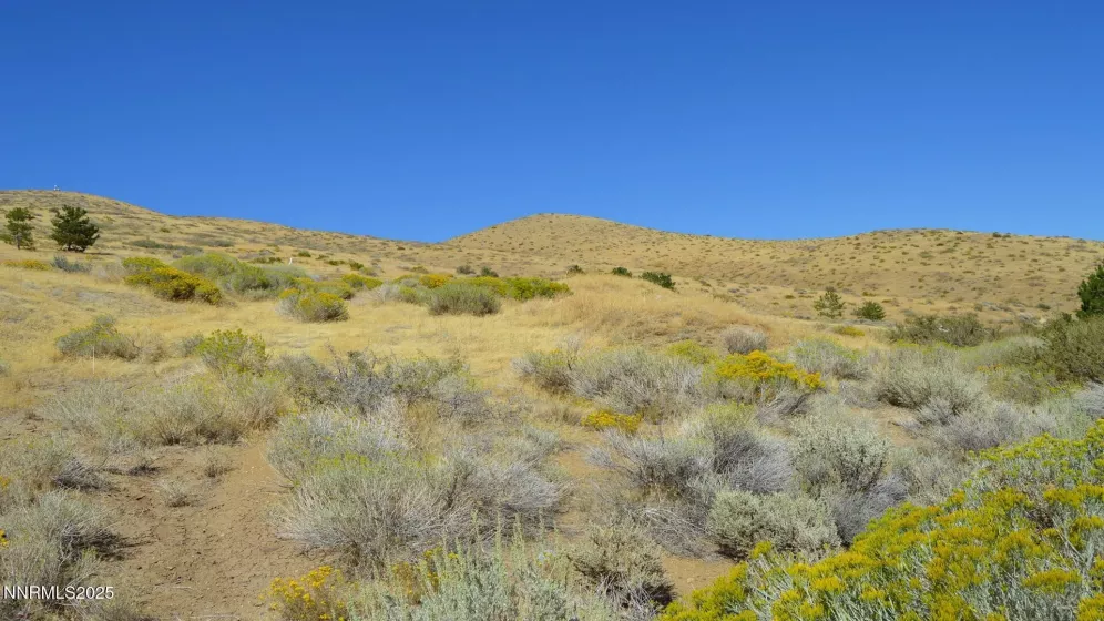 8475 Chalk Ridge, Reno, Nevada 89523, ,Land,Residential,Chalk Ridge,250056039