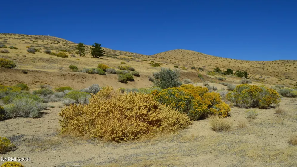 8475 Chalk Ridge, Reno, Nevada 89523, ,Land,Residential,Chalk Ridge,250056039