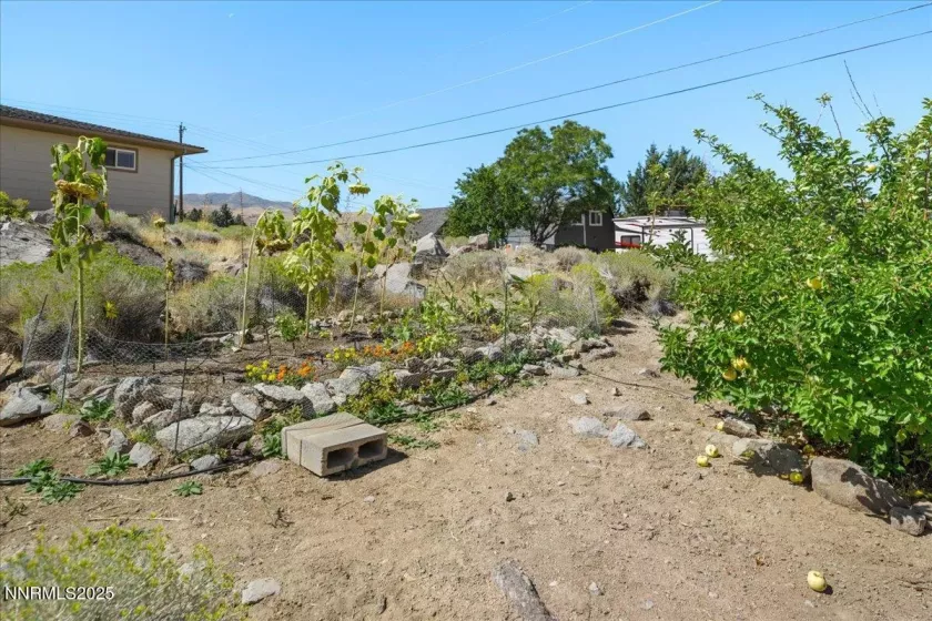 3495 Comstock, Reno, Nevada 89512, 2 Bedrooms Bedrooms, ,2 BathroomsBathrooms,Residential,Residential,Comstock,250056072