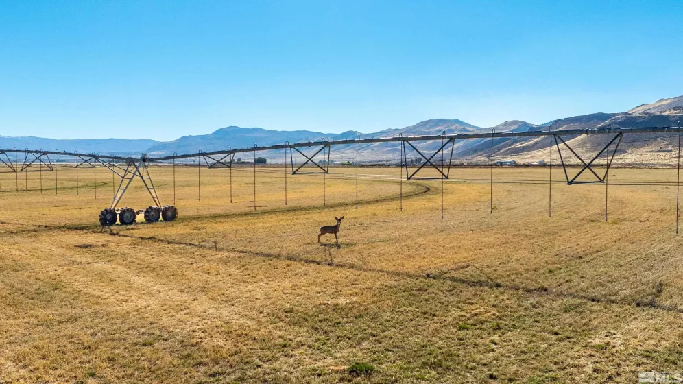 5555 Sage Flat, Reno, Nevada 89510, 3 Bedrooms Bedrooms, ,2 BathroomsBathrooms,Farm & Ranch,Residential,Sage Flat,240014982