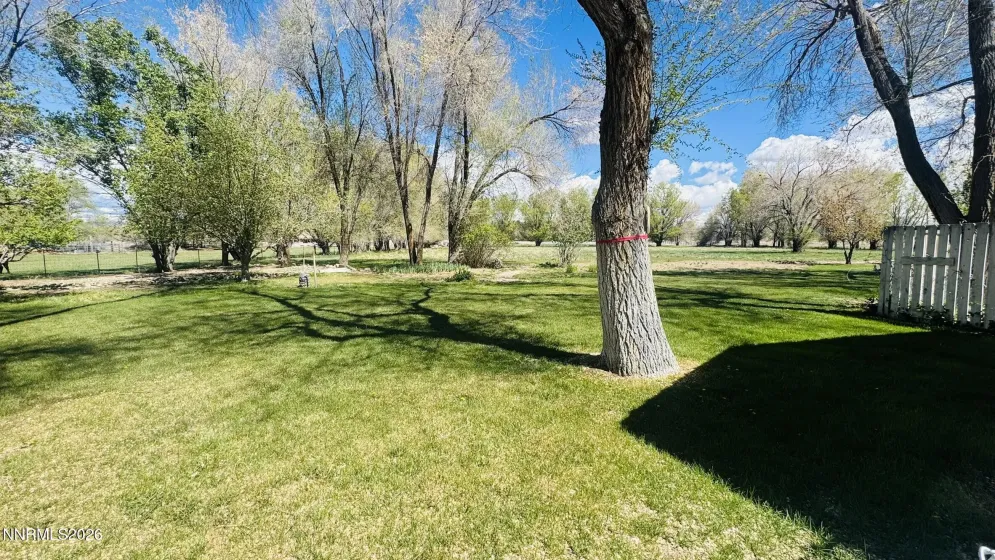 1616 Scoti, Gardnerville, Nevada 89410, 3 Bedrooms Bedrooms, ,3 BathroomsBathrooms,Residential,Residential,Scoti,0,250056132