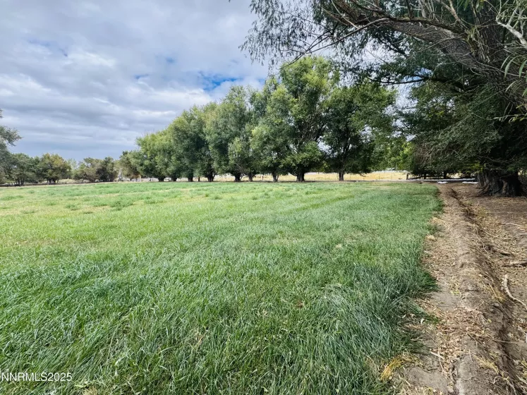 1616 Scoti, Gardnerville, Nevada 89410, 3 Bedrooms Bedrooms, ,3 BathroomsBathrooms,Residential,Residential,Scoti,250056132