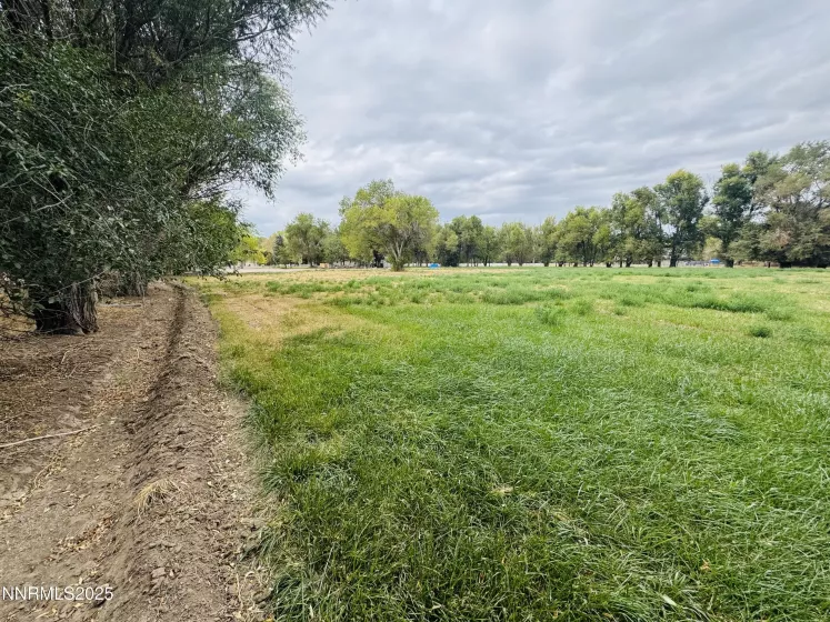 1616 Scoti, Gardnerville, Nevada 89410, 3 Bedrooms Bedrooms, ,3 BathroomsBathrooms,Residential,Residential,Scoti,250056132