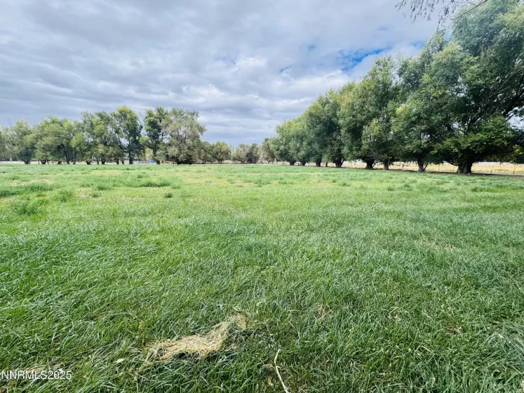 1616 Scoti, Gardnerville, Nevada 89410, 3 Bedrooms Bedrooms, ,3 BathroomsBathrooms,Residential,Residential,Scoti,250056132