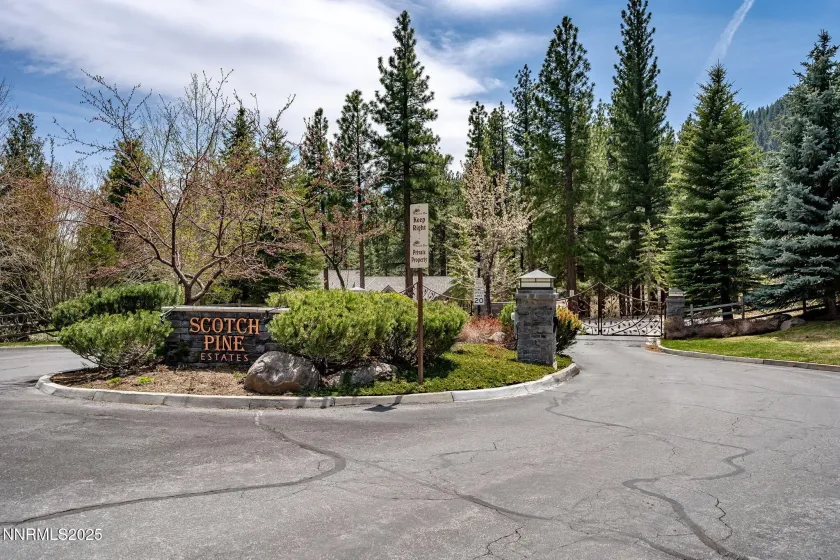 293 Jeffrey Pine, Reno, Nevada 89511, ,Land,Residential,Jeffrey Pine,250056193