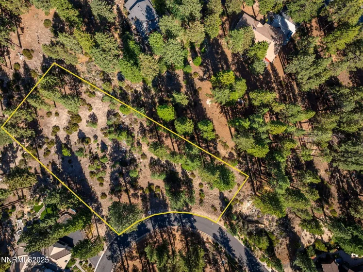 293 Jeffrey Pine, Reno, Nevada 89511, ,Land,Residential,Jeffrey Pine,250056193