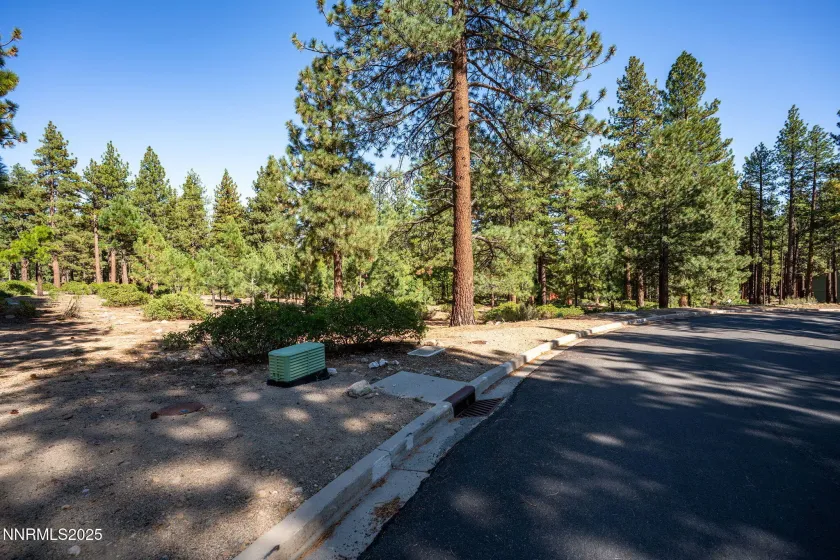 293 Jeffrey Pine, Reno, Nevada 89511, ,Land,Residential,Jeffrey Pine,250056193