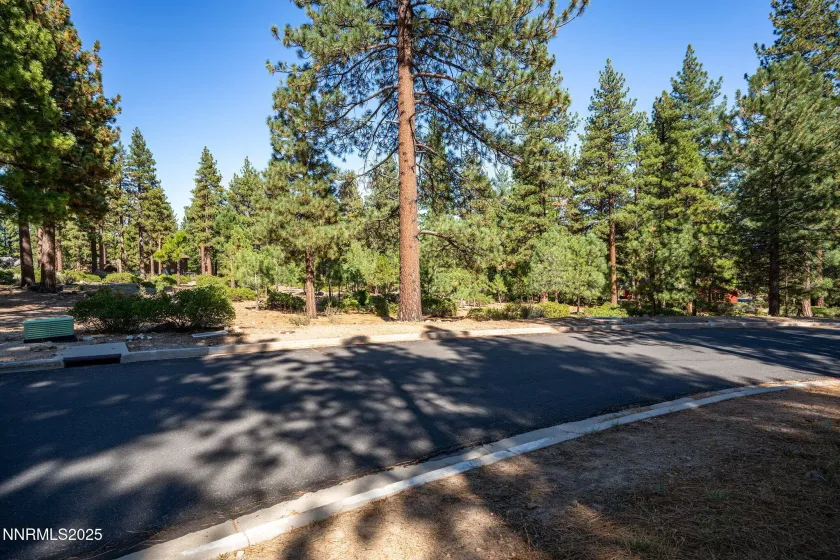 293 Jeffrey Pine, Reno, Nevada 89511, ,Land,Residential,Jeffrey Pine,250056193