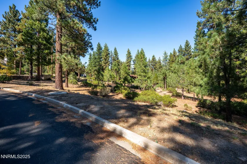 293 Jeffrey Pine, Reno, Nevada 89511, ,Land,Residential,Jeffrey Pine,250056193