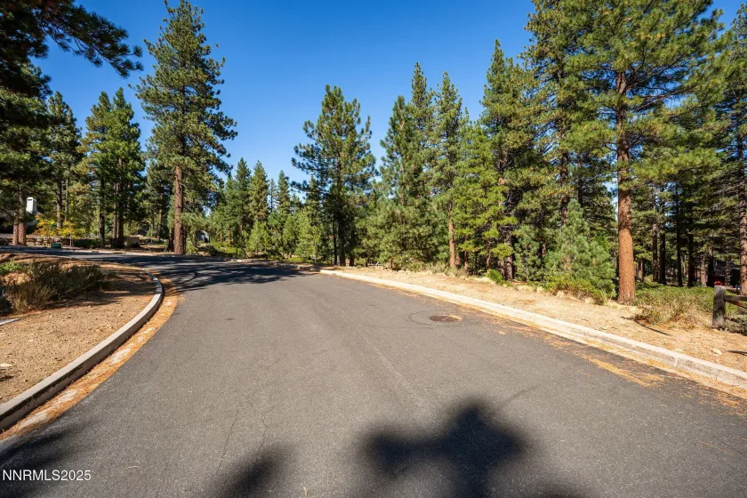 293 Jeffrey Pine, Reno, Nevada 89511, ,Land,Residential,Jeffrey Pine,250056193