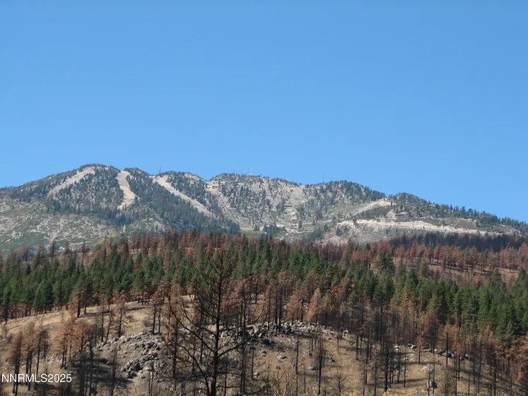0 Joy Lake, Washoe Valley, Nevada 89704, ,Land,Residential,Joy Lake,250056206