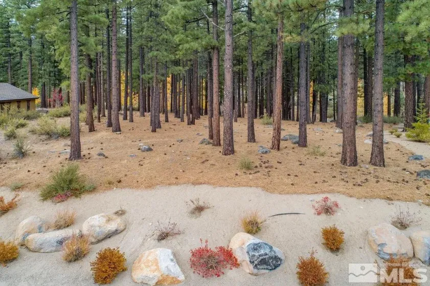 20647 Chanson, Reno, Nevada 89511, ,Land,Residential,Chanson,220001962