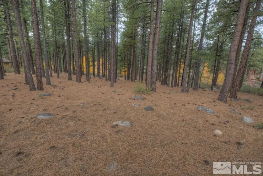 20647 Chanson, Reno, Nevada 89511, ,Land,Residential,Chanson,220001962