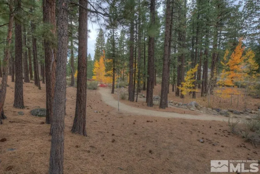 20647 Chanson, Reno, Nevada 89511, ,Land,Residential,Chanson,220001962