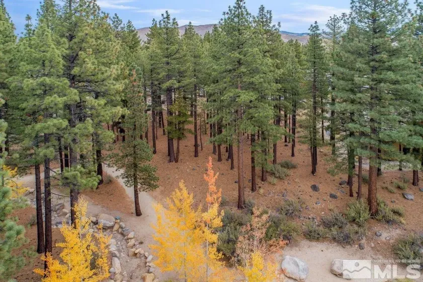 20647 Chanson, Reno, Nevada 89511, ,Land,Residential,Chanson,220001962