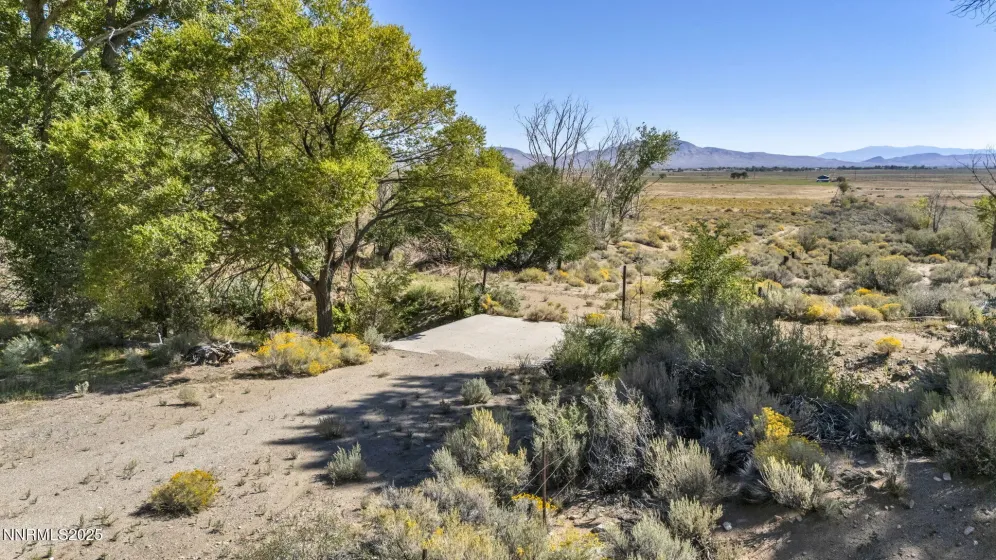 456 Upper Colony, Smith Valley, Nevada 89444, ,Land,Residential,Upper Colony,250056277