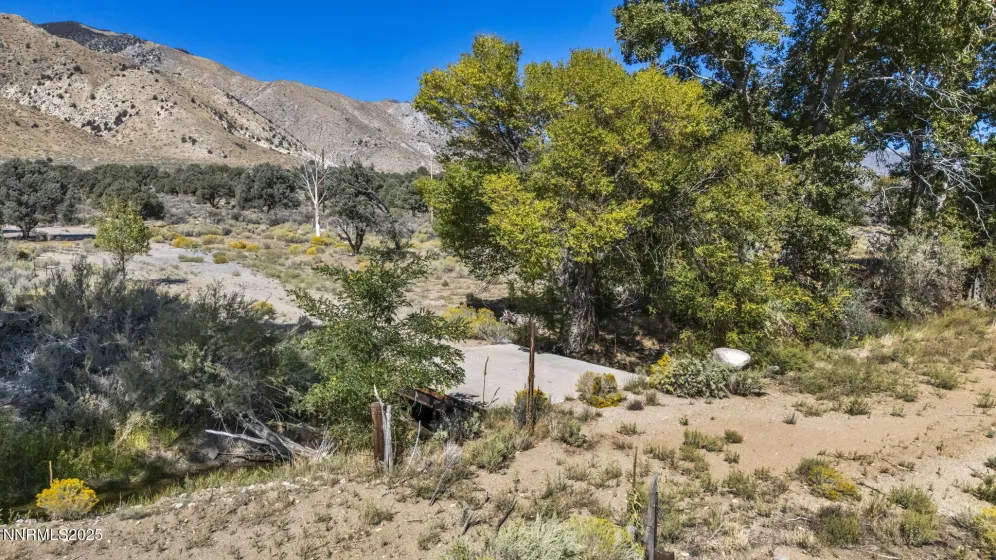 456 Upper Colony, Smith Valley, Nevada 89444, ,Land,Residential,Upper Colony,250056277