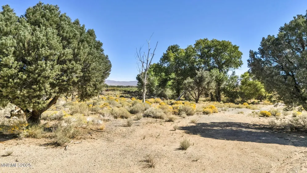 456 Upper Colony, Smith Valley, Nevada 89444, ,Land,Residential,Upper Colony,250056277